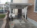  グリーン　フォレスト