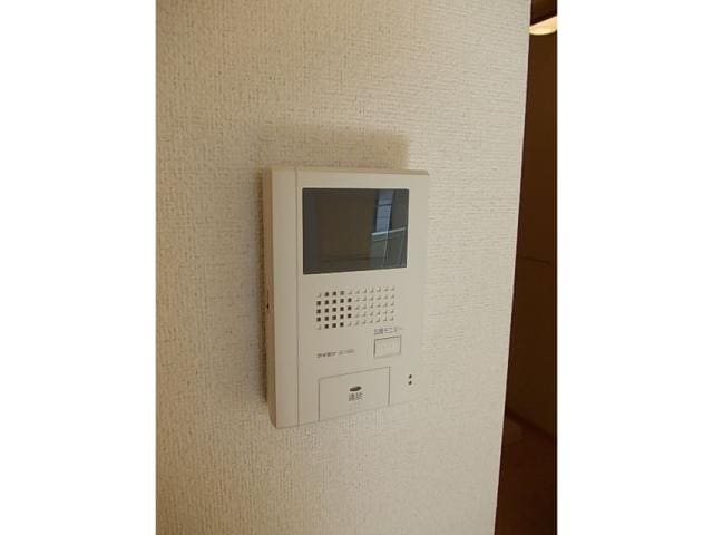 グリーン　フォレスト