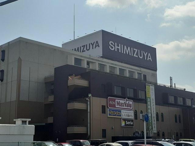 清水屋(ショッピングセンター/アウトレットモール)まで650m パークコートⅡ