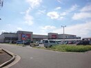 バロー城山店(スーパー)まで1877m フォレスト　ソレイユⅤ