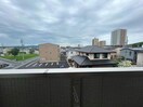  ヴェルデュール