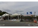 ホームプラザナフコ瀬戸みずの店(電気量販店/ホームセンター)まで1172m 瀬戸市ひまわり台戸建