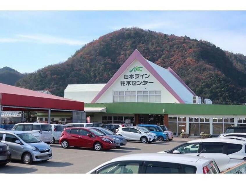 日本ライン花木センター(ディスカウントショップ)まで550m メゾン・ド・ソレイユ