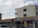 ミニストップ吉根店(コンビニ)まで346m ファーストプレイスⅡ