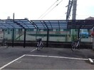  フラットスギヤマ