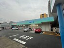 ドラッグスギヤマ松原店(ドラッグストア)まで289m CITY SPIRE 名古屋大須