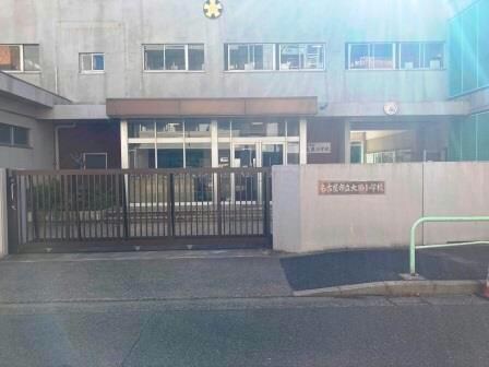 名古屋市立大須小学校(小学校)まで491m BIANCASA水主町