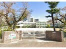 名古屋市立平和小学校(小学校)まで131m コスモパレスピースワン