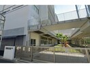 名古屋市立笹島小学校(小学校)まで2617m DEVELD栄生　WEST