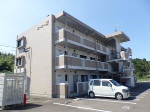 ユーミー桜