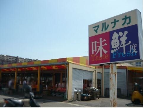 マルナカ平佐店(スーパー)まで500m サニーガーデン