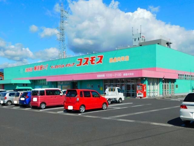 ディスカウントドラッグコスモス鹿屋共栄店(ドラッグストア)まで595m ＡｉＩｅＢｒｉＩＩｅｒ　Ⅱ