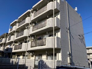 ステイドリーム