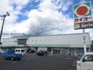 タイヨー新町店(スーパー)まで1476m フィオーレ清水