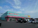 ディスカウントドラッグコスモス見次店(ドラッグストア)まで890m エミネンス隼人塚