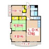 小森園ビル 3LDKの間取り