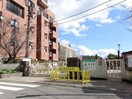 鹿児島市立武小学校(小学校)まで3215m セジュール南郡元