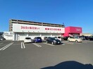 ディスカウントドラッグコスモス西谷山店(ドラッグストア)まで808m 松本荘