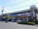 ミドリ薬品伊敷ニュータウン店(ドラッグストア)まで1300m ｍｉｎ若葉