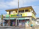 ミドリ薬品大竜店(ドラッグストア)まで300m コンフォール上本町