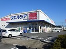 ウェルシア　小柳津店(ドラッグストア)まで290m プランティオⅠ