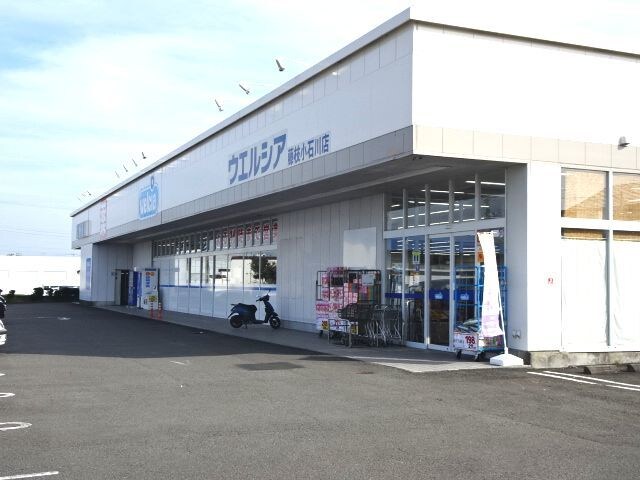 ウェルシア小石川店(ドラッグストア)まで981m ヴィラ司