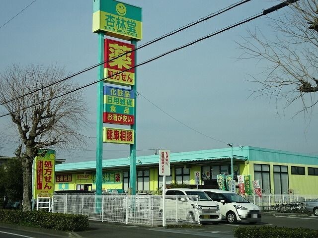 杏林堂　藤枝田沼店(ドラッグストア)まで1168m サンシティ Y