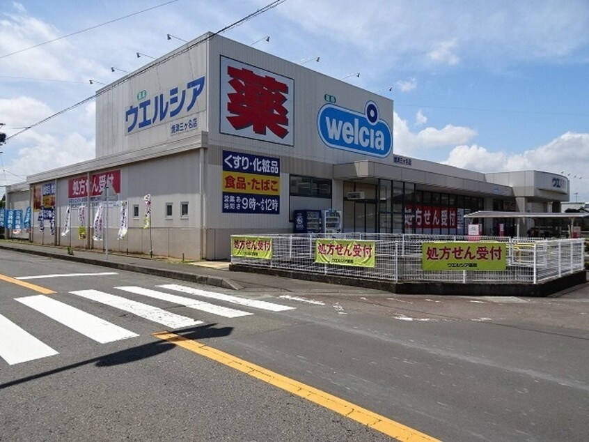 ウェルシア　焼津三ケ名店(ドラッグストア)まで887m ボーネンＫ