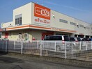 ザ・ビッグ　藤枝田沼店(スーパー)まで790m アピアＢ