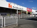 カーマDCM島田店(電気量販店/ホームセンター)まで1545m ビレッジハウス道下4号棟