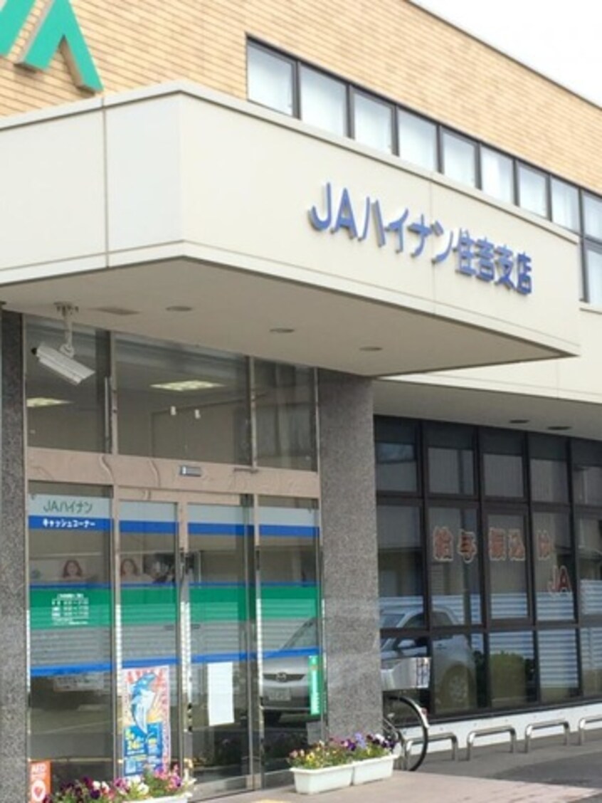 JAハイナン住吉支店 0.3km パステル