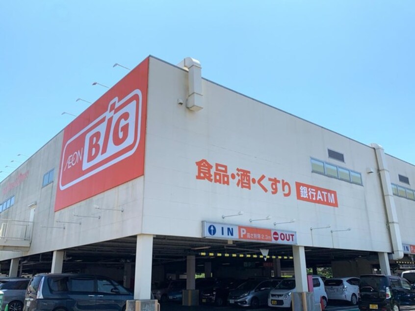 ザ・ビッグ 藤枝田沼店 0.7km フォルテ２１