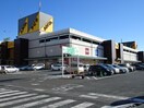 アピタ　島田店(ショッピングセンター/アウトレットモール)まで820m 葵ハイツ