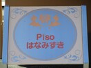  PISOはなみずき（ピソハナミズキ）