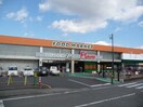 フードマーケットマム　藤枝店(スーパー)まで942m パークハイツれんげじ