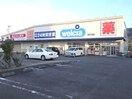 ウェルシア　焼津八楠店(ドラッグストア)まで2720m ハイツグリーン