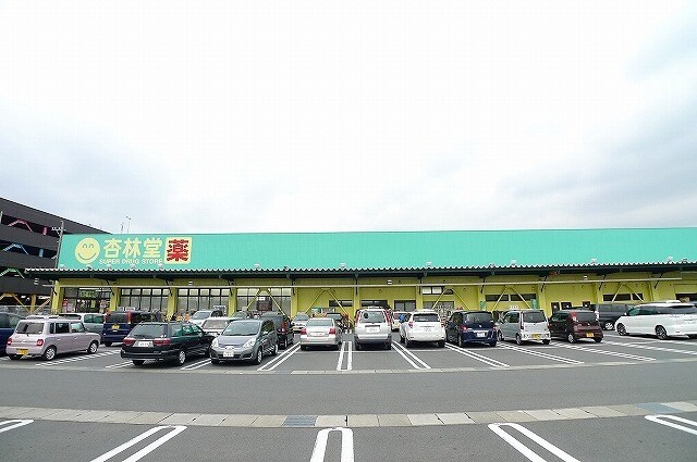 杏林堂　稲荷店(ドラッグストア)まで1769m サンライズ横井