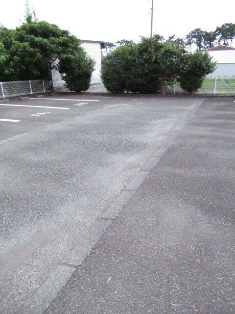  ニューエントピア