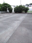  ニューエントピア