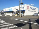  ニューエントピア