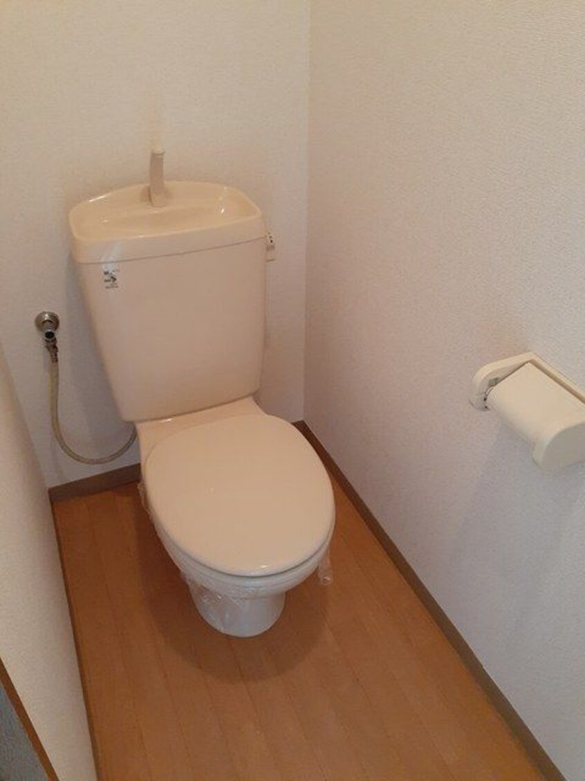  ニューエントピア