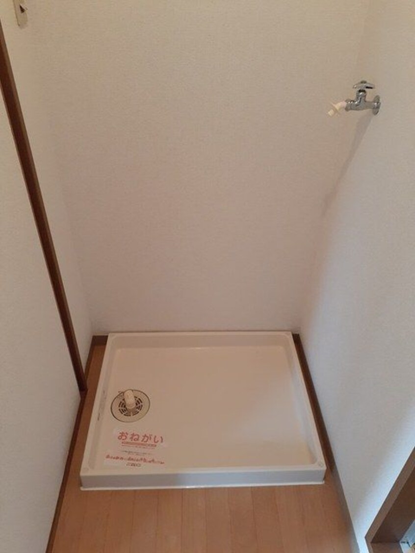  ニューエントピア