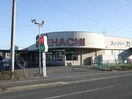 カネハチ　川尻店(スーパー)まで1599m ニューエントピア