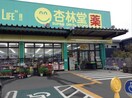 杏林堂　藤枝青島店(ドラッグストア)まで1447m サンローズＢ