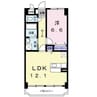 デスパシオ 1LDKの間取り