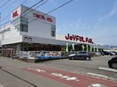 ジョイフルパル(電気量販店/ホームセンター)まで1349m カトルパレ駅南