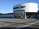 しずてつストア　駿河台店(スーパー)まで437m リーベ