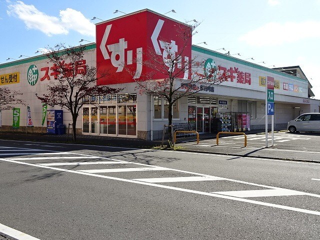 スギ薬局　中河町店(ドラッグストア)まで1261m ストークマンションⅡ