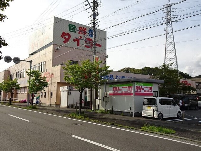 タイヨー　元島田店(スーパー)まで1256m ストークマンションⅡ