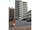  Social Village